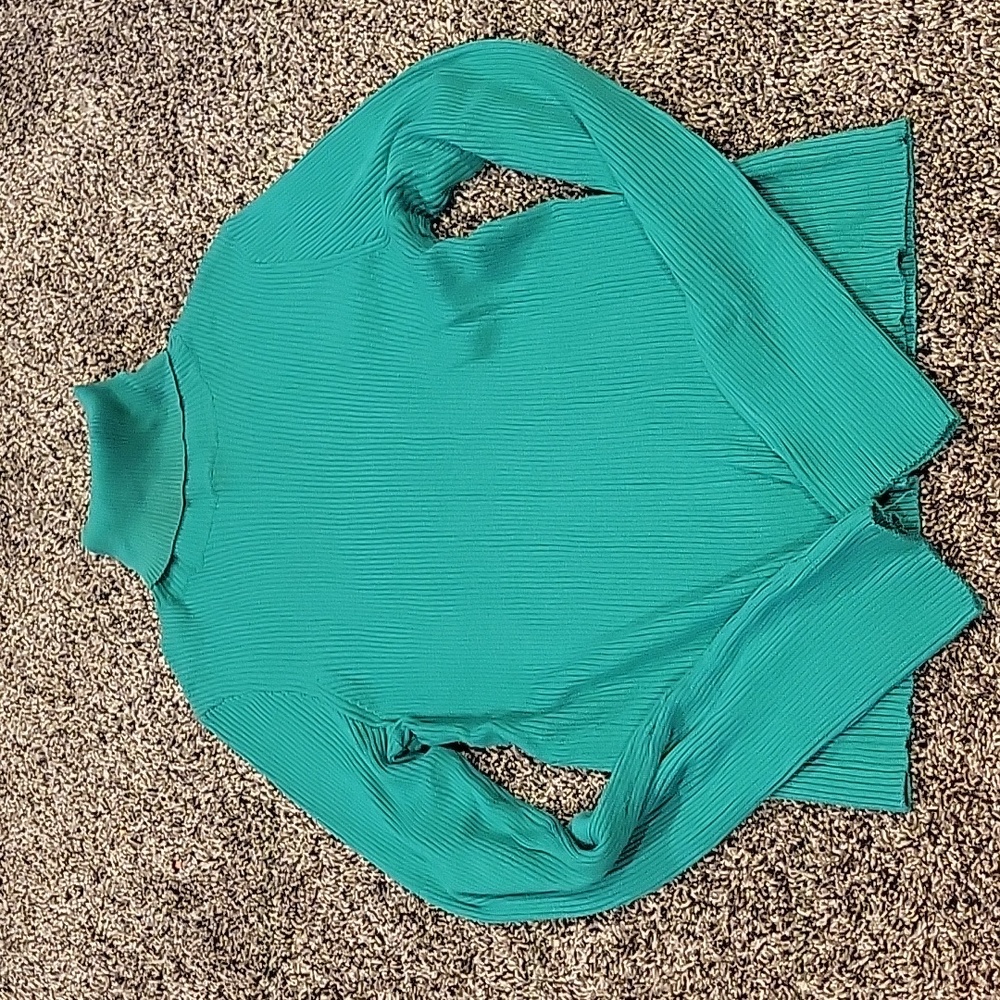 🦩 3 for $25 Divided green turtle neck sweatshirt